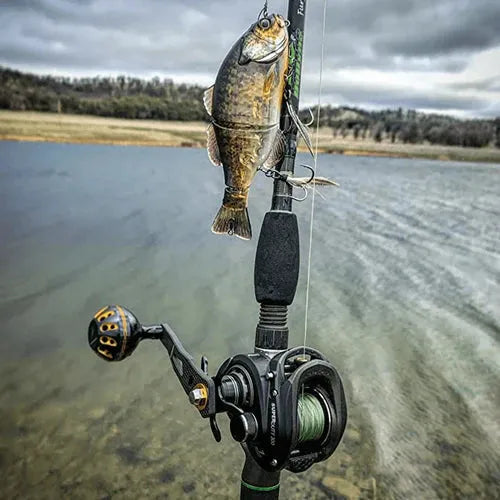 Ein kleiner Fisch hängt an einer Angelrute mit dem Gomexus Carbon Handle 75 mm mit 38 mm Power Knob (7x4mm), die unter einem bewölkten Himmel und vor einem von Bäumen gesäumten Ufer über dem Wasser gehalten wird.