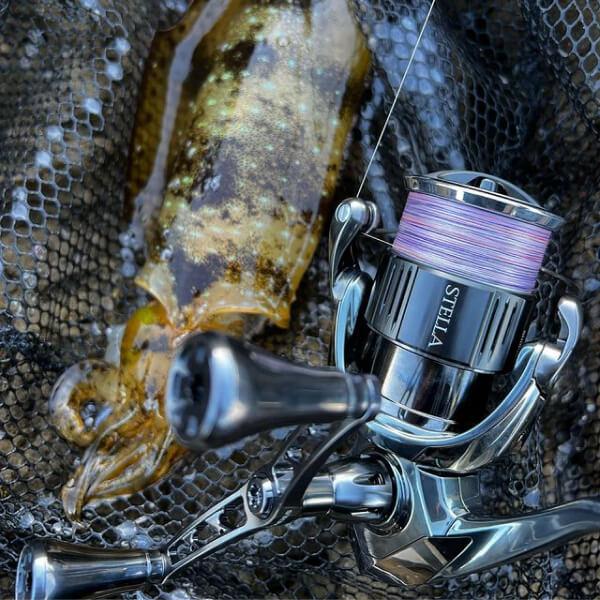 Gomexus Double Handle 98-82 mm mit T20 Knobs | Shimano – RL