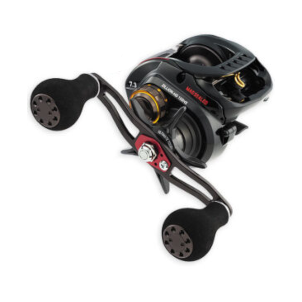 TD Zillion HD 100