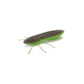 RL - Angelrollentuning - Nays BG - Creature Bait - C - 05 - 2 Inch | 5,1 cm - 