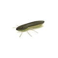 RL - Angelrollentuning - Nays BG - Creature Bait - C - 32 - 2 Inch | 5,1 cm - 