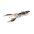 RL - Angelrollentuning - Nays CRTR - Creature Bait - C - 14 - 3 Inch | 7,6 cm - 