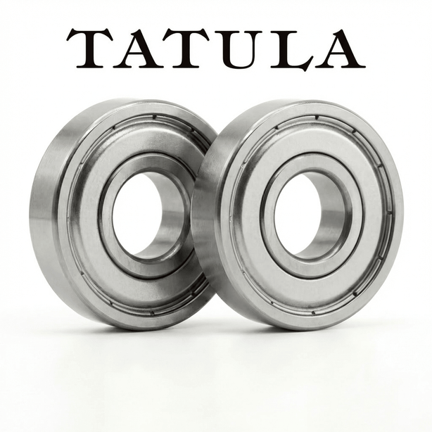 RL - Angelrollentuning - CORE Spulenlager Set für Daiwa Tatula - TATULA 2026 BF TW - 