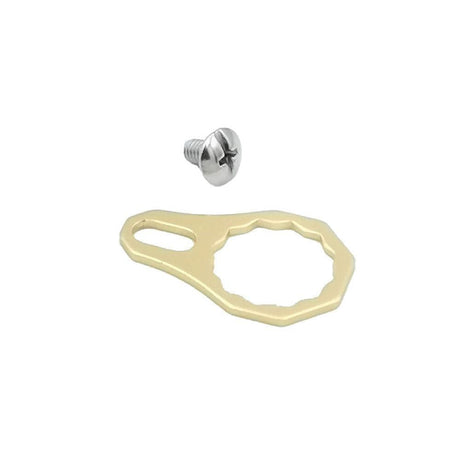 Die RL-Angelrollentuning-Kontermutterplatte | verschiedene Farben hat eine Messingfarbe mit unregelmäßigem Rand und kleinem Loch, neben einer silbernen Kreuzschlitzschraube auf Weiß – perfekt für Baitcasterrollen oder eloxiertes Aluminiumprojekte.